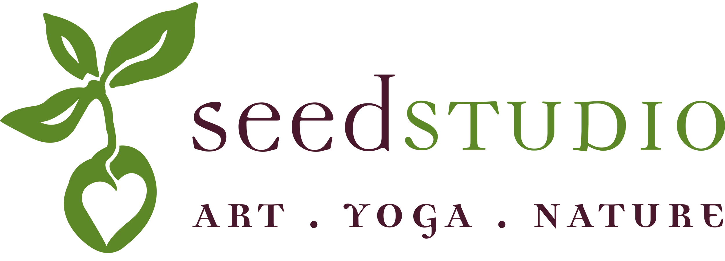 Seed Studios Summer Camps