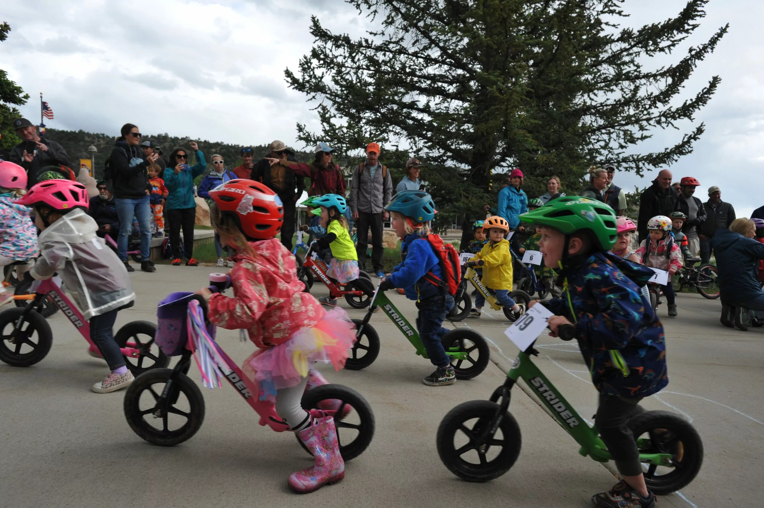 PUSHBIKE SUMMER CAMPS